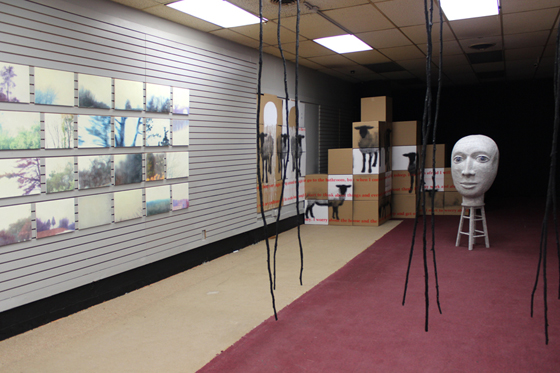 installation view